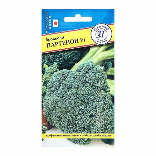 ���������� ������� ������ ������ ������� �������� 