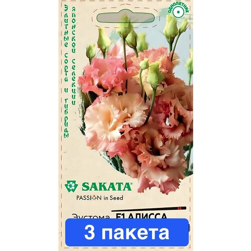 ���������� ����� ������� ������ ����������� F1 3 ������