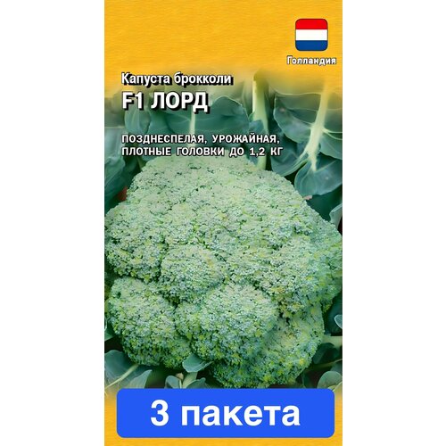 ���������� ������ ������ ������ 