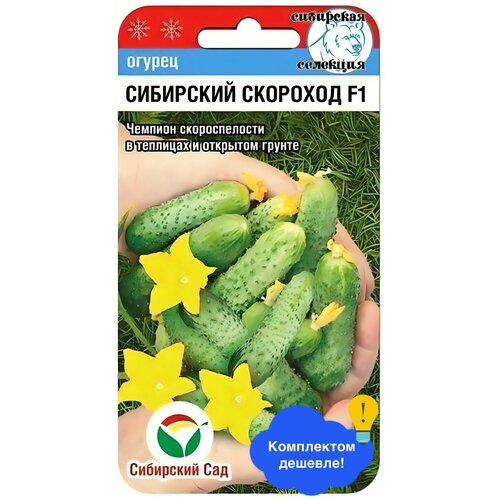 ���������� ������ ������ ��������� ��� 