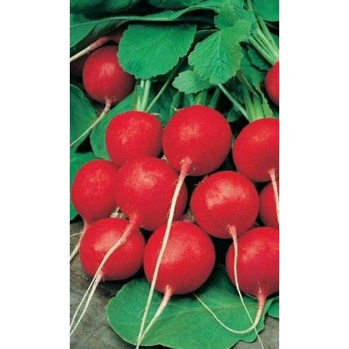 ���������� ������������� ������ ������ F1 ������