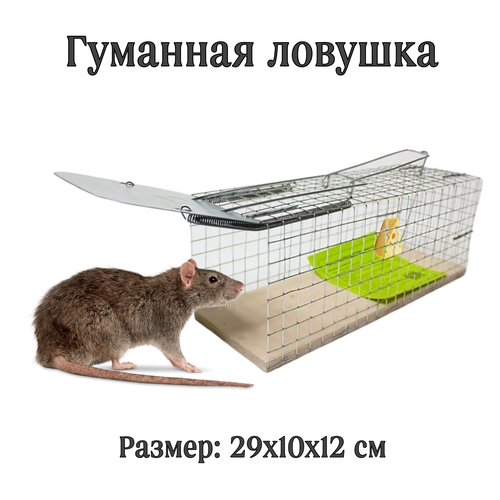 ���������� ���������� ������ (�������) �� ����