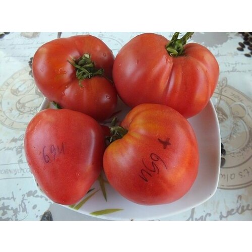 ���������� ������������� ������ ������ ��������� �����������