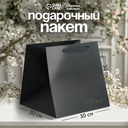 ���������� ����� ���������� ������ ������� Present, 30x30x30 �� ������ 1 ��. 30 �� 30 �� 30 �� 160 � �������