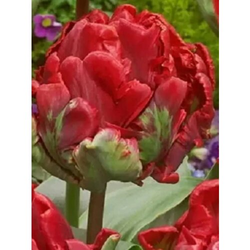 ���������� �������� ������� ������ - 10 ��.