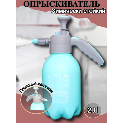 ���������� �������������(�����������) 