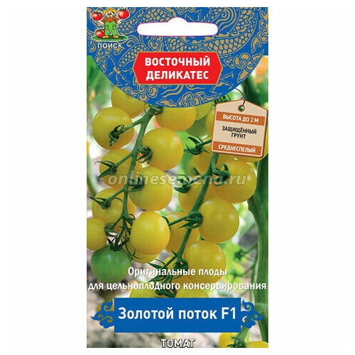 ���������� ������ ����� ������� ����� F1 10�� ����� (�����) ��������� ���������