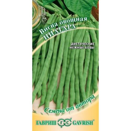 ���������� ������ ����� ������� 10�� (������) �����