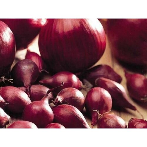 ���������� ������������� ������ ���� �������� ��� �����