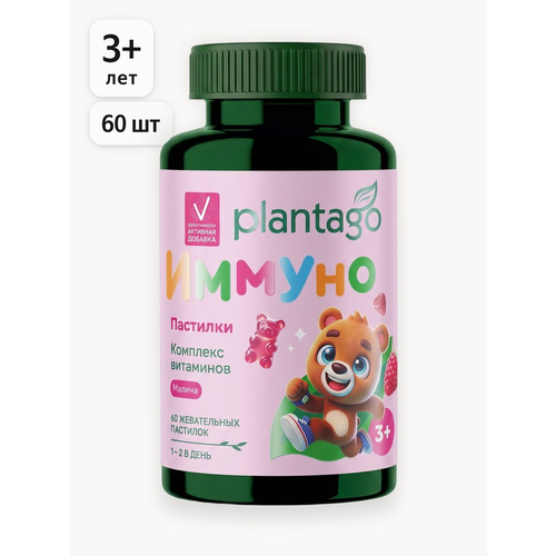 ���������� �������� Plantago 