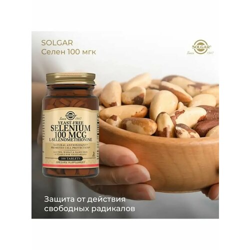 ���������� ������, �����, 100 ���, 100 ��������