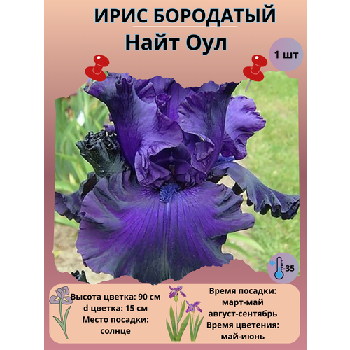 ���������� ���� ��������� ���� ���, ����������� �����
