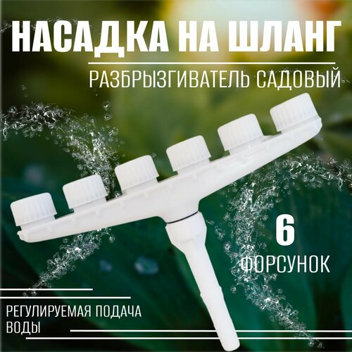 ���������� ������� �� ����� ��� ������ 6 ����, ��������������� �������
