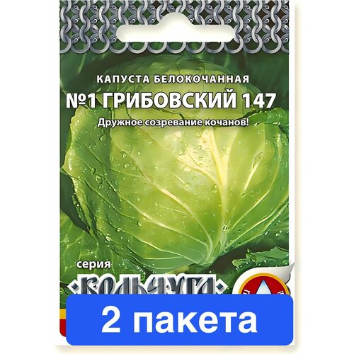 ���������� ������ ������ ������� ������ 