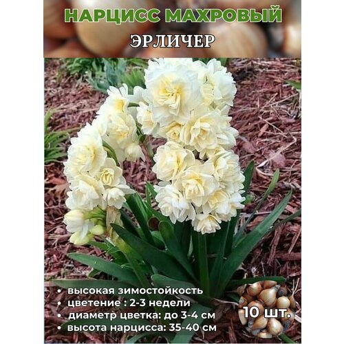 ���������� ������� ��������, �������� 10 ����