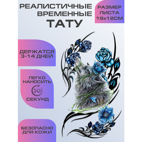 ���������� ���� ���������� ��������������, ��������� ����