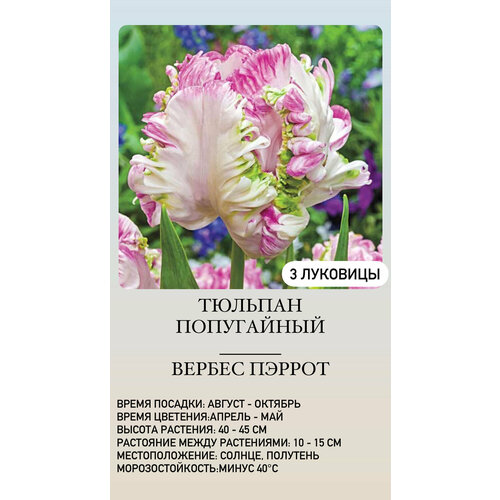 ���������� ������� �������� ����������� ������