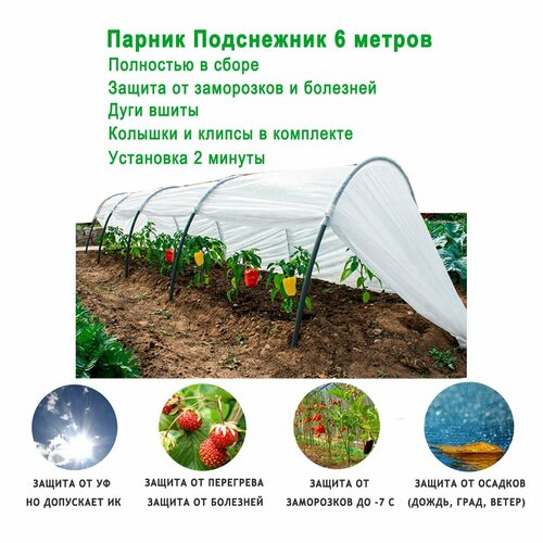 ���������� ������ ������� ���������� ������������, 6 ������ / ������ ��� �������