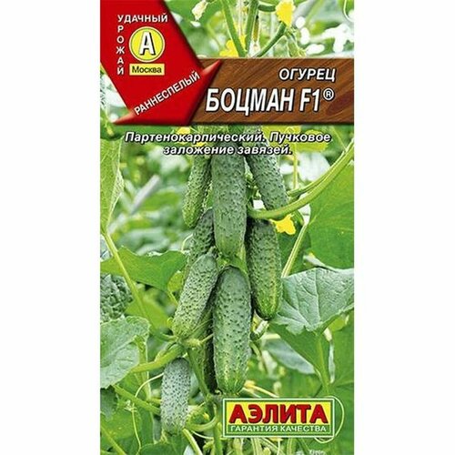 ���������� ������ ������ ������ F1 (������������������) (������) 10��