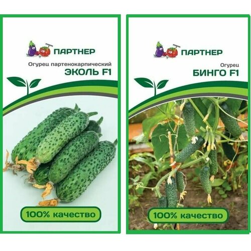 ���������� ����� ������ ����� F1 + ����� F1 ������ ������� (2 ��������* 5 �� �����)