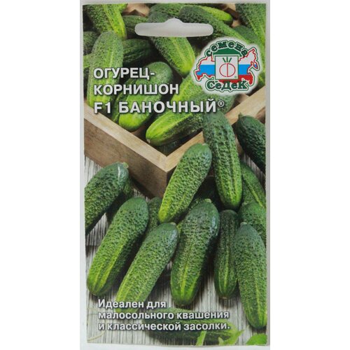 ���������� ������, ������-�������� �������� F1