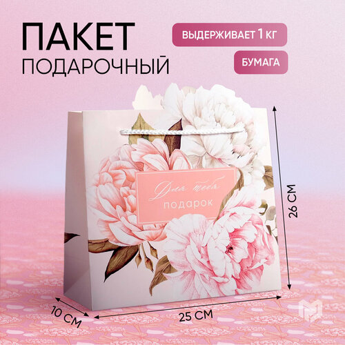 ���������� ����� ���������� ���� ���� �������, 25 ? 26 ? 10 ��