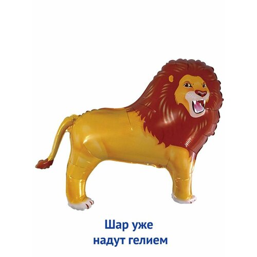 ���������� ��������� ��� � ������ �������������� ������ ���