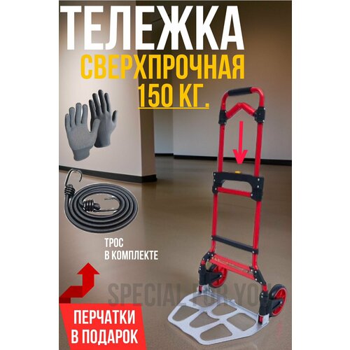 ���������� ������� ������������ �������� 150 ��. �������