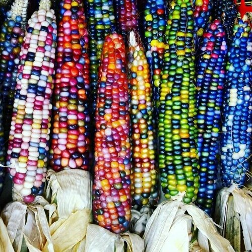 ���������� ������ �������� �������� (������� �������) 10 ��.