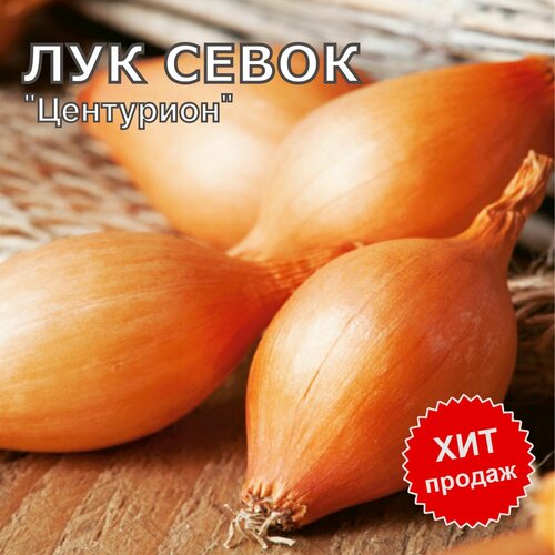 ���������� ��� ����� ������ �� ������� ��������� 1��