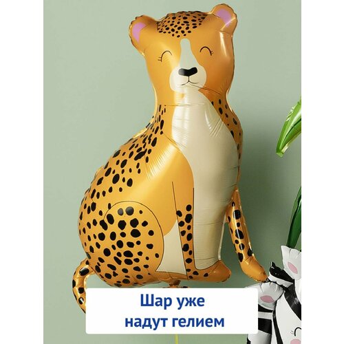 ���������� ��������� ��� � ������ �������������� ������ ������ ������