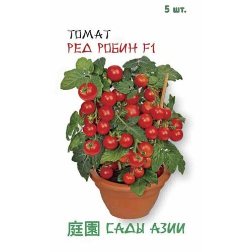 ���������� ������ ����� ��� ����� F1 5 �� ���� ����