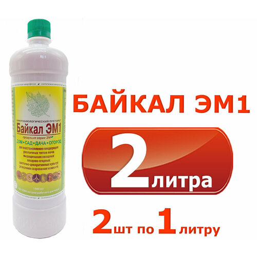 ���������� ������ ��-1, 2 ������� �� 1 �����