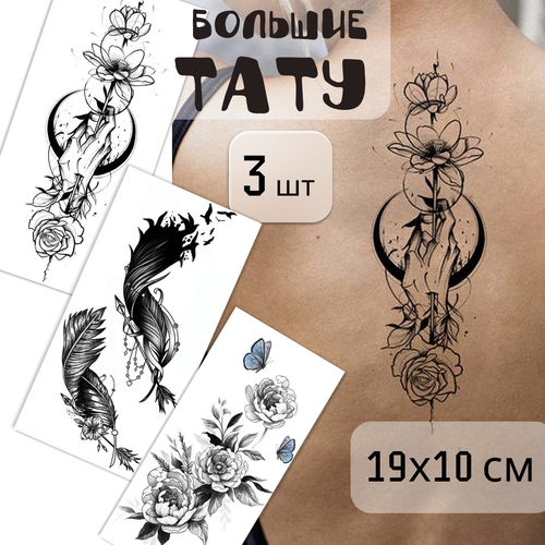 ���������� ����� ������� ���������� ���� 3 ����� (19�10 ��). ���������