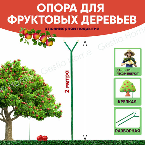 ���������� ����� ������� ��� ��������� �������� 2 � Gestia Home