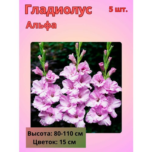 ���������� ��������� ��������������� �����, �������� ����������