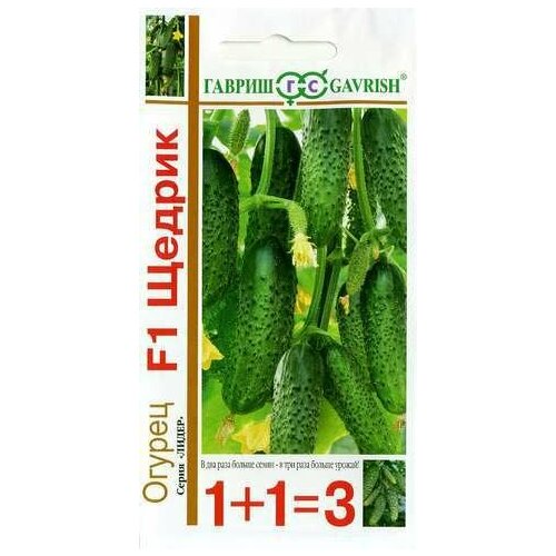 ���������� ������ ������ F1 (����� 1+1/20) (������)