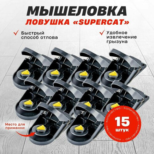 ���������� ����������� ��������� SuperCat, 15 ��.