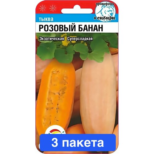 ���������� ������ ������ ��������� ��� 