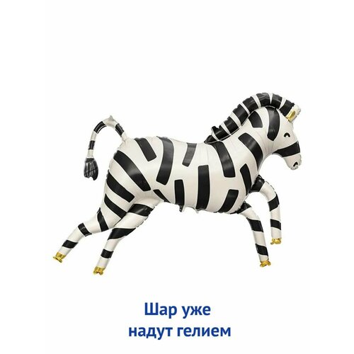 ���������� ��������� ��� � ������ �������������� ������ ������ �����