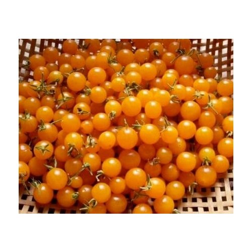 ���������� ����� ������� �������� ���� ��� - ������ ������ �������