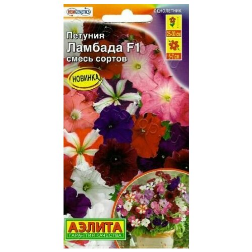 ���������� ������� �������������� ������� F1 ( 1 �������� ) , ����� �������