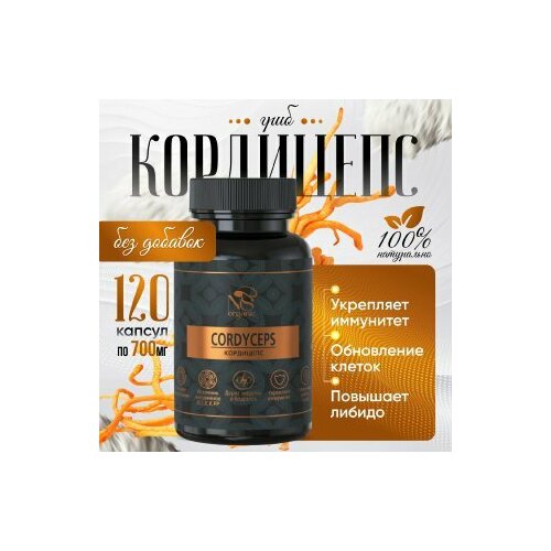 ���������� ��������� � �������� �� 700 ��, ��������� 120 ��.