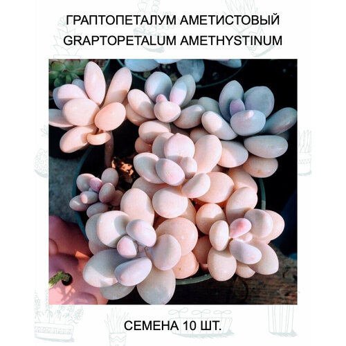 ���������� ������������� ����������� ������ 10 ��. � ����������� �� ������ � �����