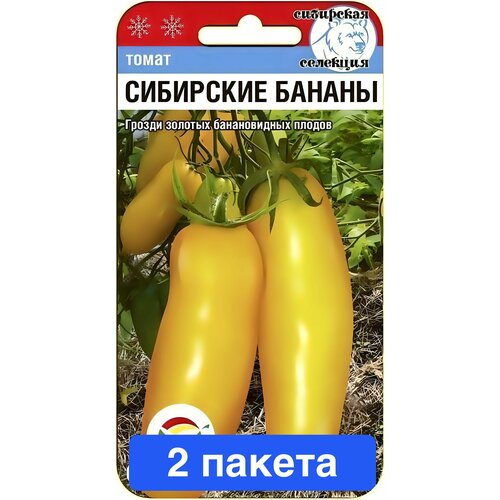 ���������� ������ ������ ��������� ��� 