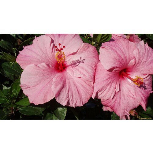 ���������� ������ �������� ��������� ���� ������� 7 ��. (1 ��������)