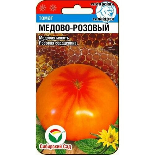 ���������� ������ ����� ������-������� 20�� ����� (��������� ���)