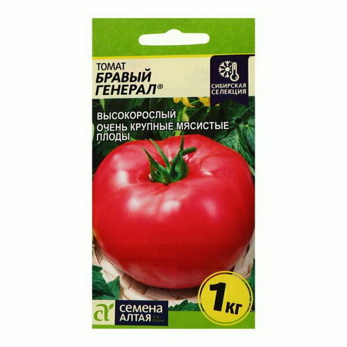 ���������� ������ ����� 