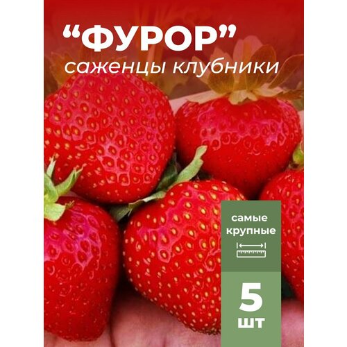 ���������� �������� ����� ������������� �����, �������/��������� �������� 5 ��