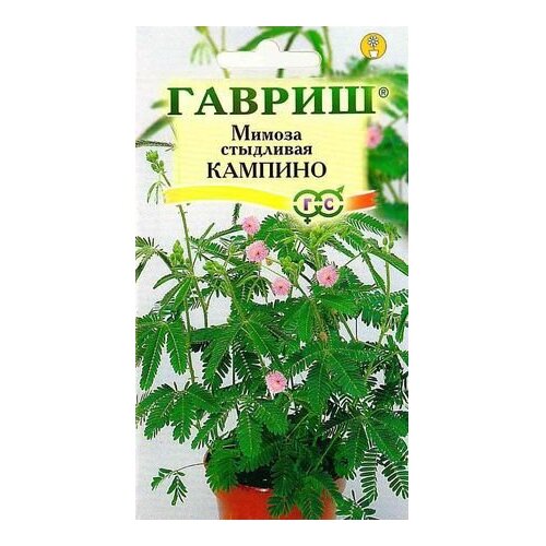 ���������� ������ ������ ������ ��������� ������� 0,1 �